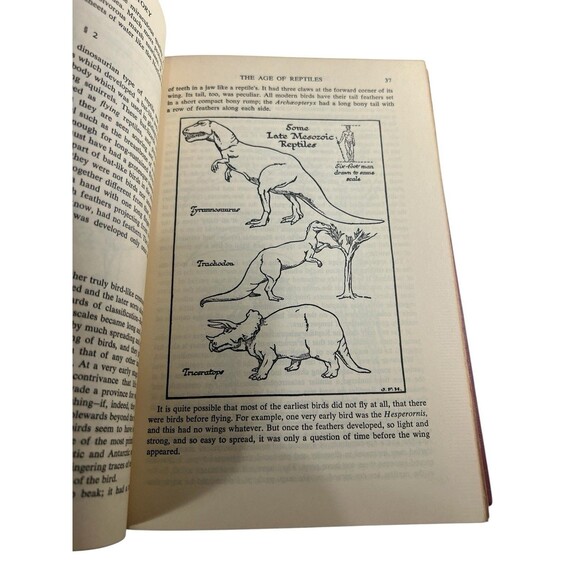 The Outline Of History By HG Wells Revised Volume 1 - 1956 Hardcover - Picture 12 of 14